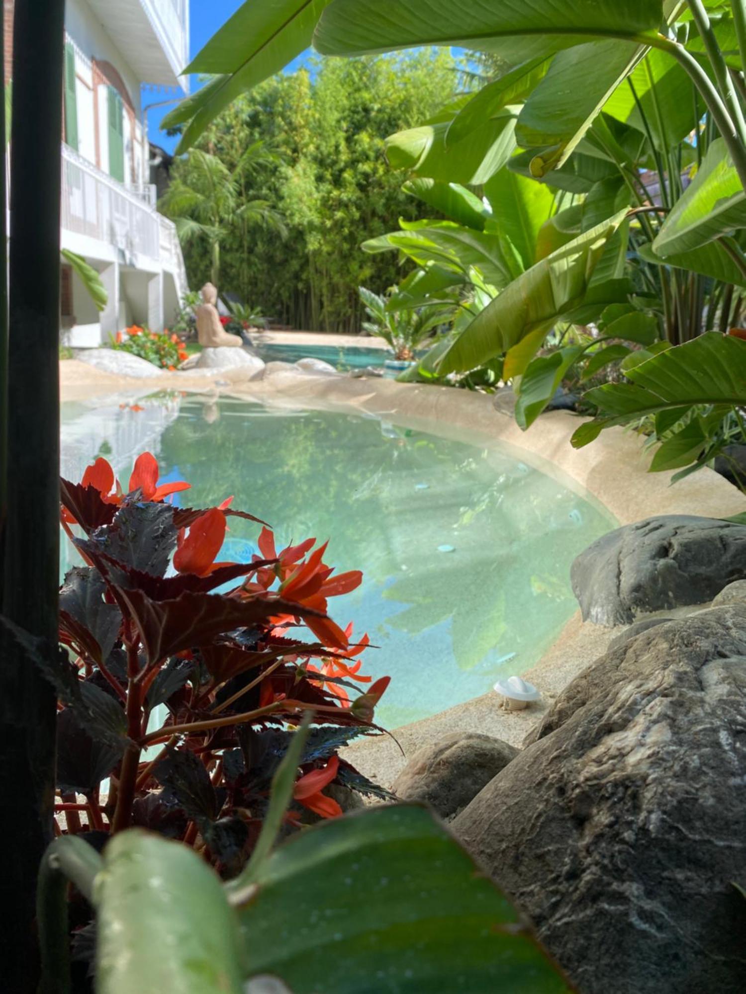 タルブAppt Ambiance Chalet 2Ch Piscine Lagonアパートメント エクステリア 写真
