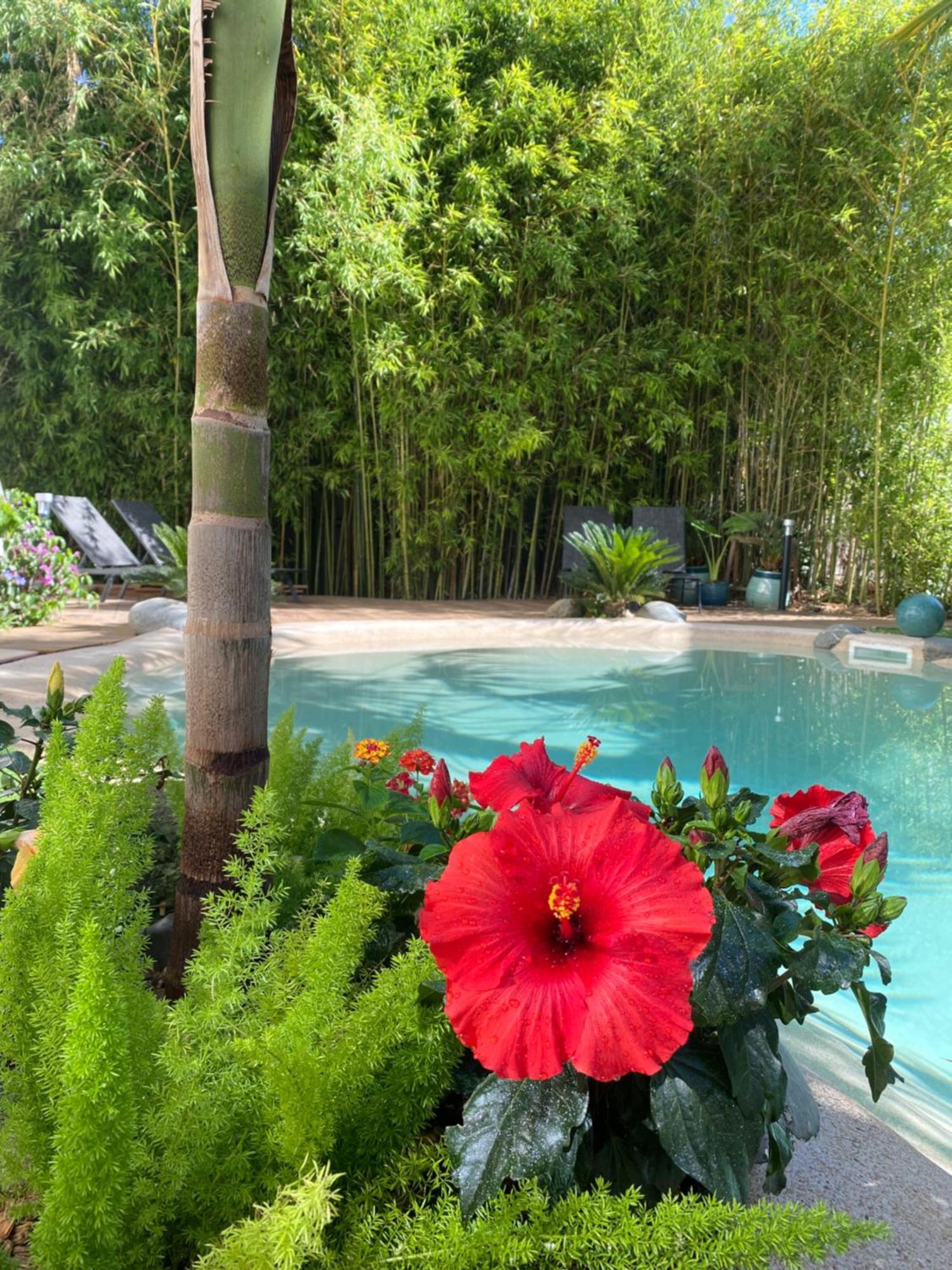 タルブAppt Ambiance Chalet 2Ch Piscine Lagonアパートメント エクステリア 写真